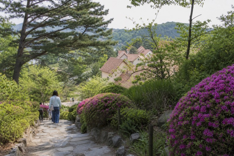 Petite France And Garden, No Railbike