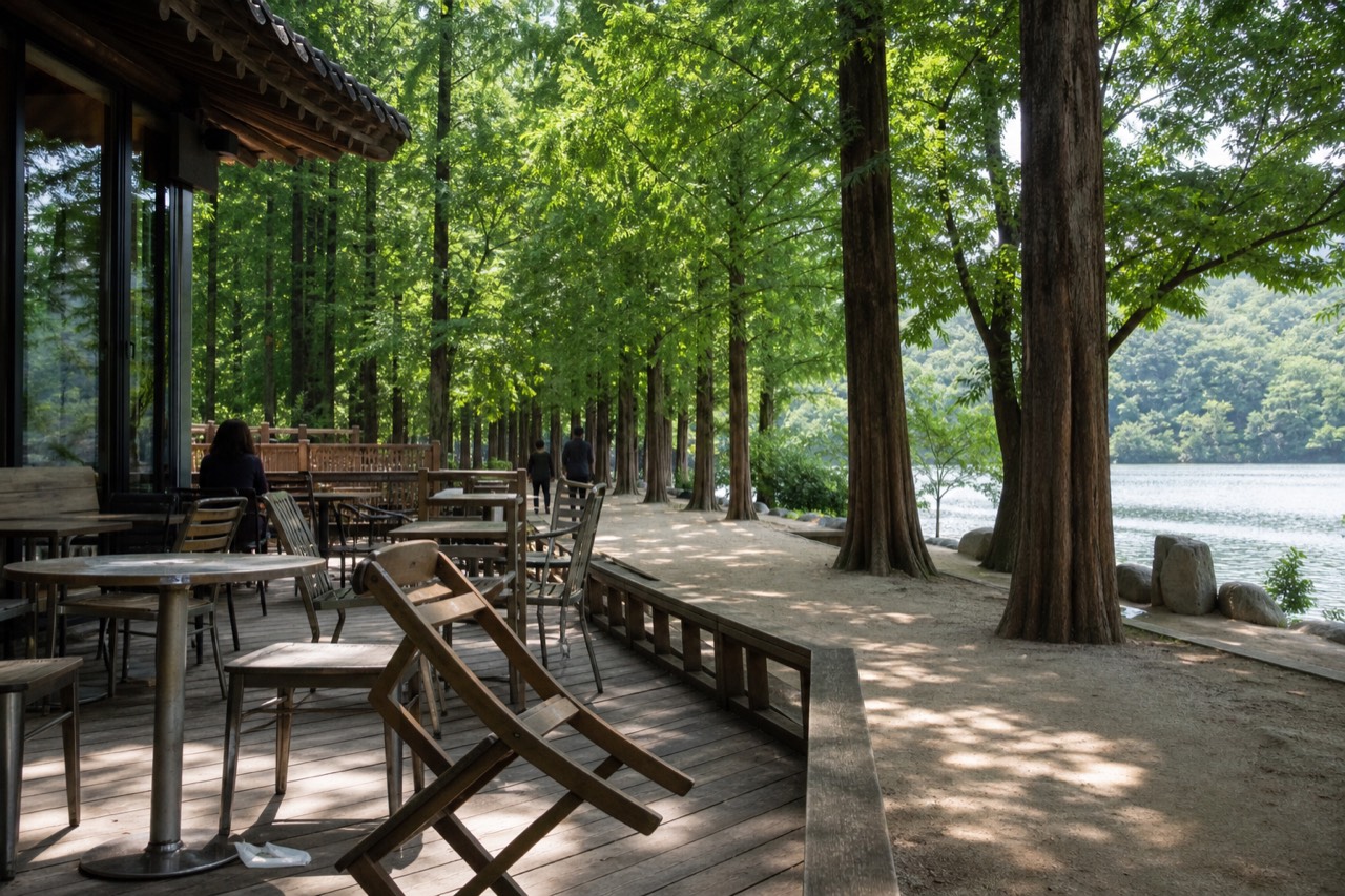 Wooden terrace cafe beside a tree-lined path on a river island, no text, no logos, no people