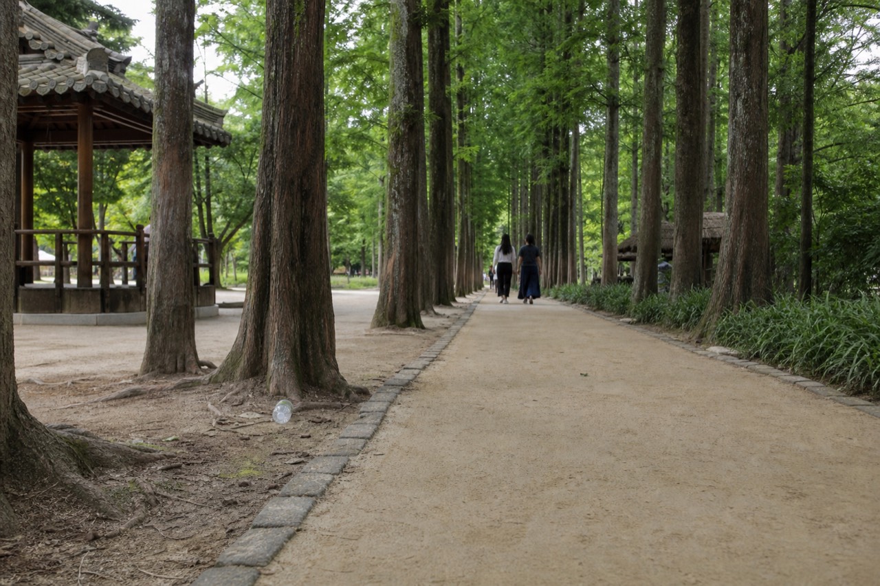 Tree-lined lane on Nami Island in soft daylight, no text, no logos, no people.