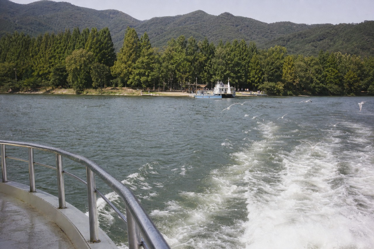 Tree-lined lane on Nami Island seen across the water from the ferry, no text, no logos, no people.